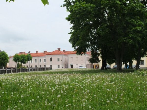 Vyks tarptautinio projekto „Virtuali praeitis yra ateities muziejų pagrindas“ edukacinis seminaras