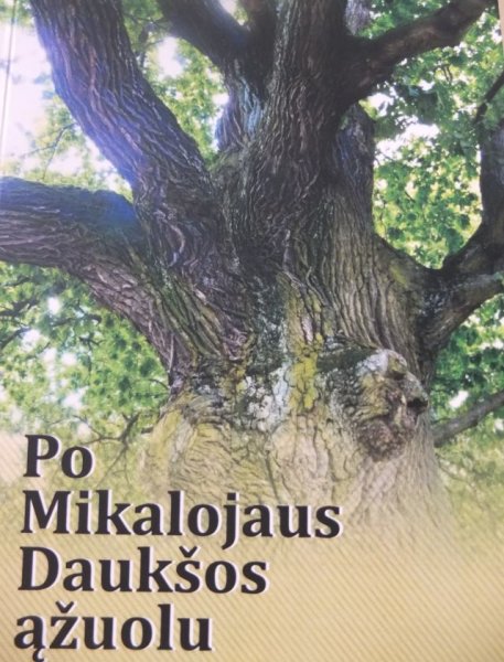 Susitelkę po Mikalojaus Daukšos ąžuolu