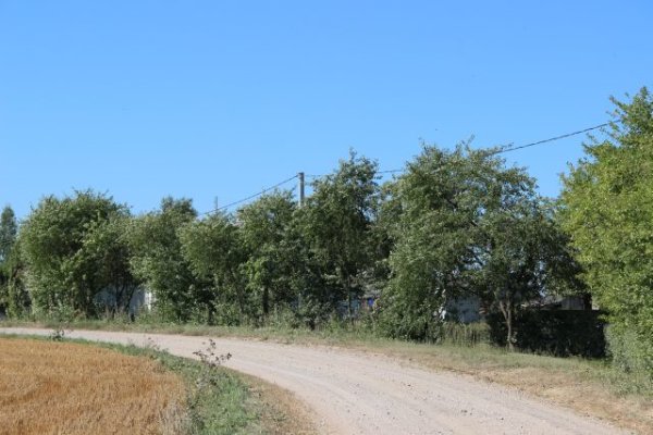 Sutartys pasirašytos, laukia darbai