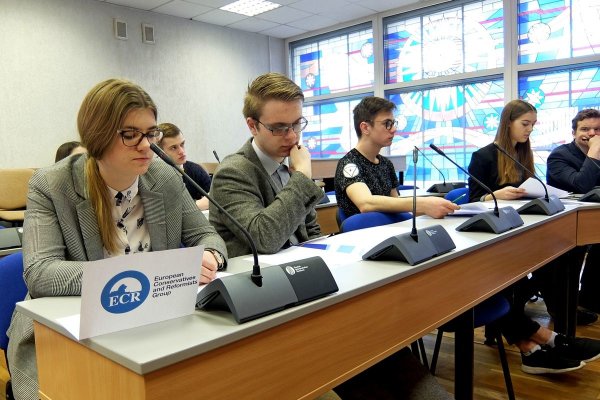 Mokomojo Europos Parlamento tarpinė sesija Kėdainiuose