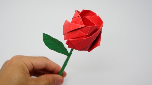Kėdainiečiai kviečiami dalyvauti akcijoje: „Sulankstyk origamį − pasirašyk už Murakamį“