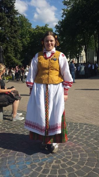 Lietuvos Respublikos Seimas paskelbė apie 2017 metus