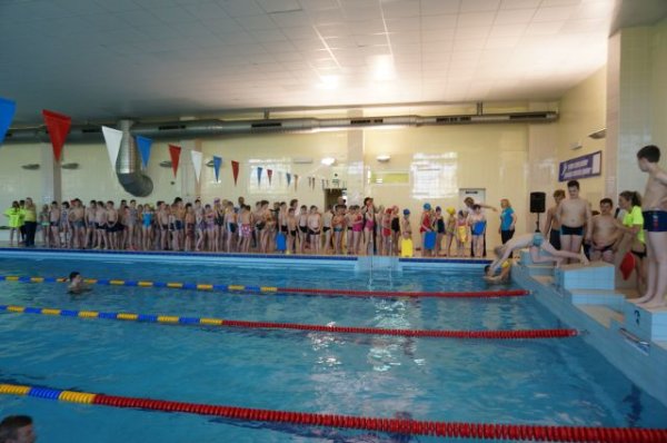LSU Kėdainių „Aušros“ progimnazijoje pasiektas masiškiausio estafetinio plaukimo rekordas