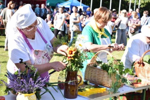 Agurkų šventė: regionų kulinarinis paveldas ir suknelės iš daržovių