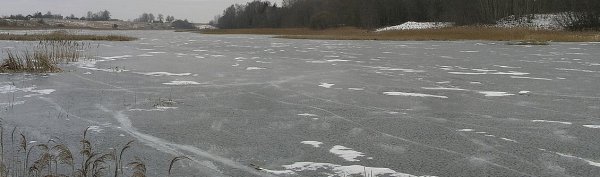 Savivaldybės meras su aplinkosaugininkais aptarė situaciją Aristavos tvenkinyje