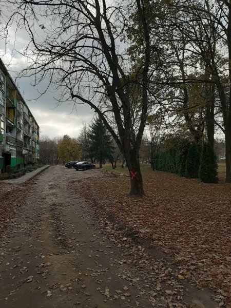 Po ekspertų išvadų gauti leidimai ir patvirtinti Žemaitės kvartalo sprendimai