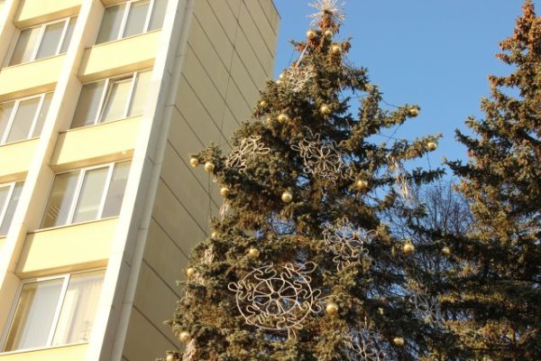 Viena po kitos žiebsis puošniosios eglutės miesteliuose 
