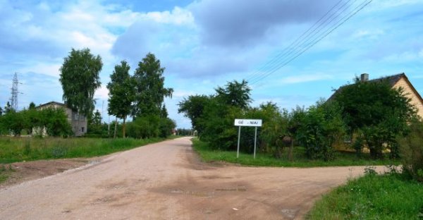 Gėlainiai: vertinimo ir suvokimo matai