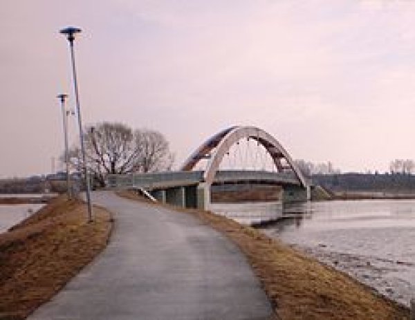 Nustatyti "Vaivorykštės" tilto padegėjai 