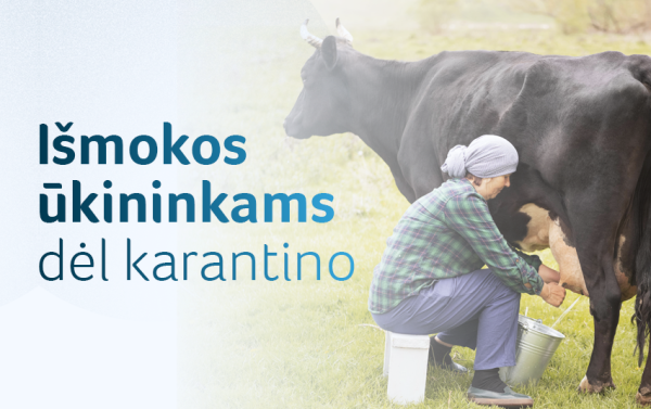 Išmokos smulkiesiems ūkininkams: kam priklauso, kur kreiptis ir kada pasieks pinigines