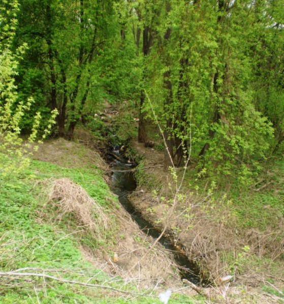 Gražiausias upės pavadinimas – Ašarėna