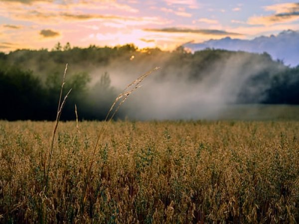 Žemės sklypų savininkų dėmesiui