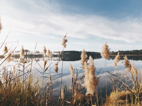 Maudyklų vandens kokybė Kėdainių rajone