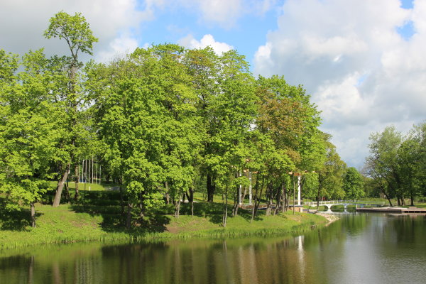Savivaldybė įspėjo įmones dėl padidėjusių nemalonių kvapų 