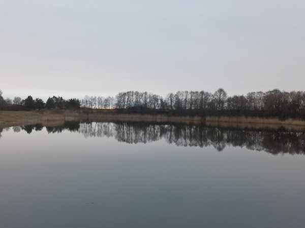 Atlikti pakartotiniai mikrobiologiniai tyrimai