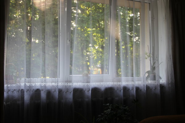 Dėl asmenų gyvenamosios vietos deklaravimo duomenų tikslinimo