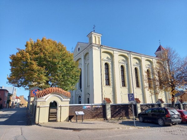 Papildoma paveldosaugininkų konsultacija Kėdainiuose 
