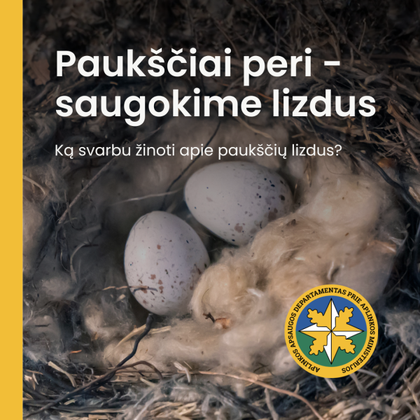 Paukščiai pradeda perėti. Netrikdykime paukščių, saugokime jų namus – lizdus