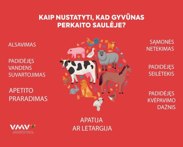 Fiksuojama ekstremali kaitra, todėl itin svarbu pasirūpinti ne tik savimi, bet ir savo gyvūnais