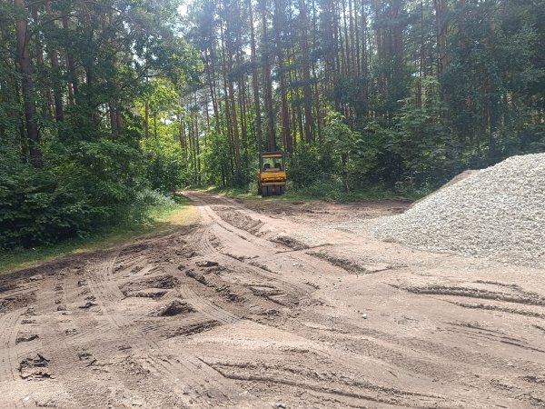 Babėnų šile jau prasidėjo darbai: laukia reikšmingi pokyčiai