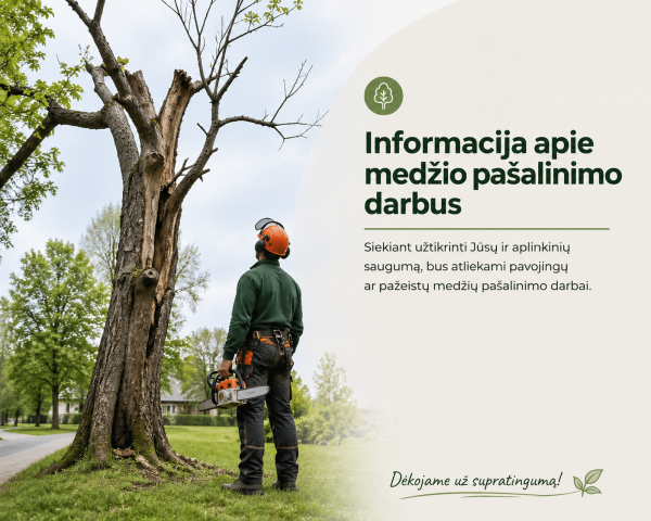 Informacija apie įsigaliojusį leidimą medžio pašalinimo darbams