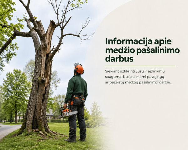 Informacija apie medžių pašalinimo darbus