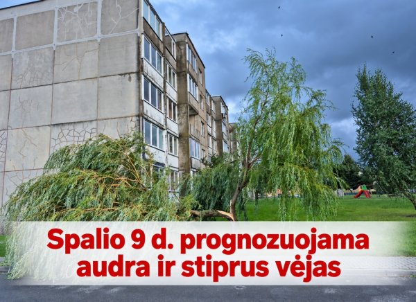 Dėmesio! Spalio 9 d. prognozuojama audra ir stiprus vėjas