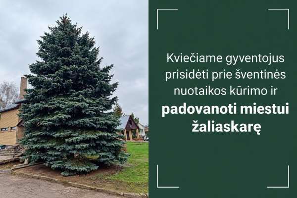Padovanokite Kėdainiams Kalėdų eglę!