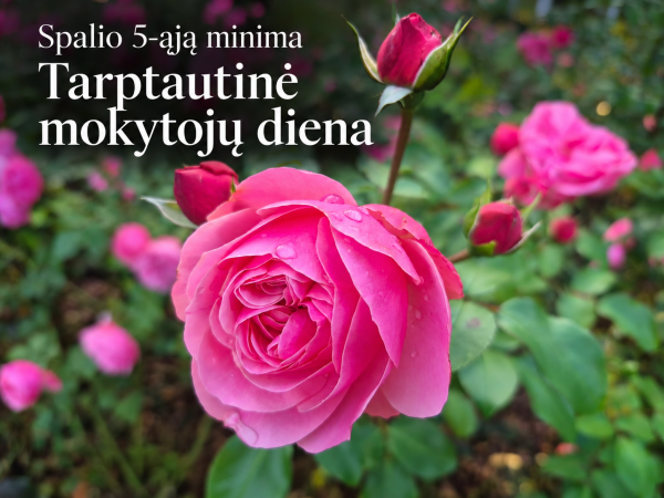 Sveikiname Tarptautinės mokytojų dienos proga!
