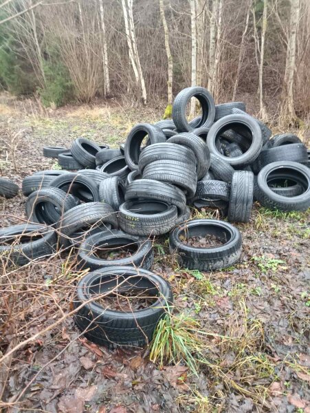 Miškuose paliktų padangų kaina: nuo žalos aplinkai iki baudų teršėjams